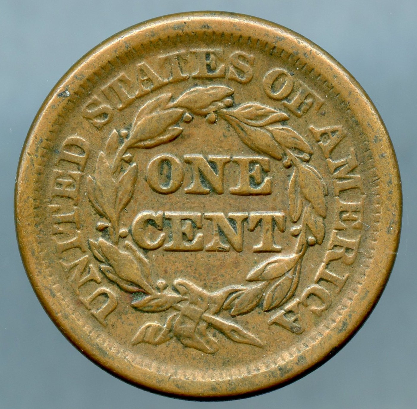 1850 Large Cent - Reverse - www.jakesmp.com