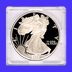 .jpg of a proof silver eagle dollar in a 2x2 snaplock coin holder