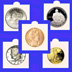 .jpg of a self seal coin holder
